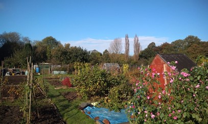 Photo of Bradley Fold allotments, taken from their website